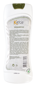 shampoo hombre